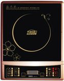 Induction Cooker