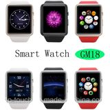 Newest Bluetooth Smart Watch with SIM Card Slot (GM18)