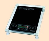 Induction Cooker (TS-20EV1)