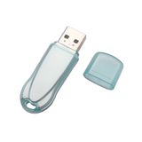Plastic Transparent USB Flash Drive