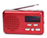 FM Digital Radio