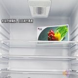 Refrigerator Glass