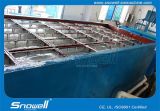 Ice Block Making Maker with Daily Capacity of 10t for Fishery