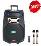 Rechargeable Battery Speaker Box with USB/SD Bluetooth Wireless Microphones (F38)