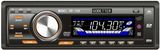 Car DVD Player (DV-156)