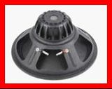 PA Woofer/PRO Audio Loudspeaker