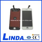 Mobile Phone LCD for iPhone 5s LCD Screen