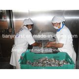 Spiral Freezer, Seafood Quick Freezing Machine, Shrimp Dumpling Meat