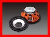 Professional Car Audio Speaker (GT WOOFER 250B SERIES)