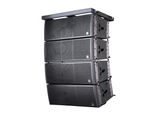 Dual 12 Inch Powerful Subwoofer for Line Array Speaker