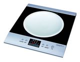 Induction Cooker (TS-24EV)