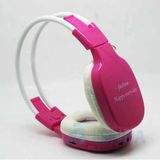 OEM Card Reader Headphone with FM Radio