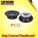 Speaker PV12