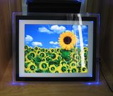 15 Inch LED Light Digital Photo Frame