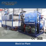 Focusun Top Sale 10tpd 20tpd Block Ice Making Machine