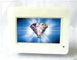 Digital Photo Frame DPF8702