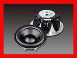 Professional Car Audio Speaker (GT WOOFER 250D SERIES)