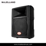 Active Speaker (Perception 12A)