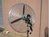 Pedestal Fan