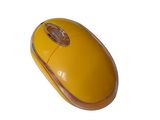 Optical Mouse (SK-9318W)