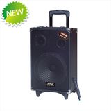 Promoting Cheap Speaker Box with USB/SD Bluetooth Wireless Microphones (F51)