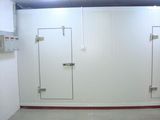 Customizing Cold Storage Freezer for Frozen Food