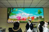 P5 Indoor LED Display/LED Display