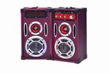 DJ Speaker Box with USB/SD Bluetooth Wireless Microphones 6008