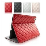 iPad Case (for iPad 2 or 3)