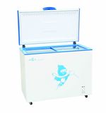 Freezer BD/C-308