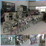 Vegetable and Fruit Juicers Machine/Best Fruit Vegetable Juicer Machine