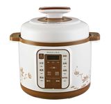 5L Colorful Electric Pressure Cooker