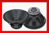 PA Woofer/PRO Audio Loudspeaker (PC)