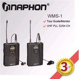 Wireless Monitor System (WMS-1)