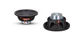 Stage Audio Speaker Woofer of 350W Sound Speaker Nv1075