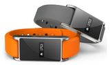 Bluetooth Intelligent Wristband (CYHX-S6)