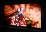 70 Inch LCD Display for Advertising