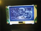 Mono Graphic 132X64 DOT Matrix LCD Display