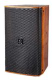 PRO Speaker Box Karaoke Device Fs12/2 (wood grain)