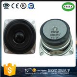 Fbs5328 53*53mm 8 Ohm 2W Professional Audio Speaker (FBELE)