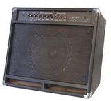 40W Bass Guitar Amplifier (FC-40B)