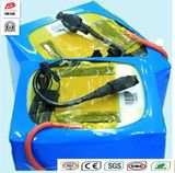 Brlb005 72V 40ah Li-ion LiFePO4 Battery Lithium Ion Battery