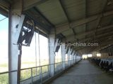 36' Poultry Farm Cowhouse Fan