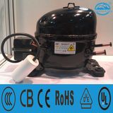 Refrigeration R600A Compressor Wv52yt for Refrigerator