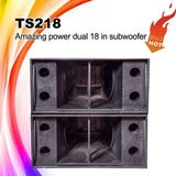 Ts218 Self-Design Amazing Power Professional Speaker Subwoofer