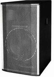 Professional Audio Stage Speaker 2-Way Speaker