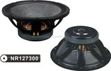 Professional Audio Woofer Speaker Dashayu Nr127300