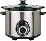 Slow Cooker (Dftz-E2 Series)