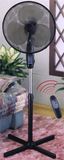 Electric Fan