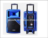 Outdoor Karaoke Stage Speaker